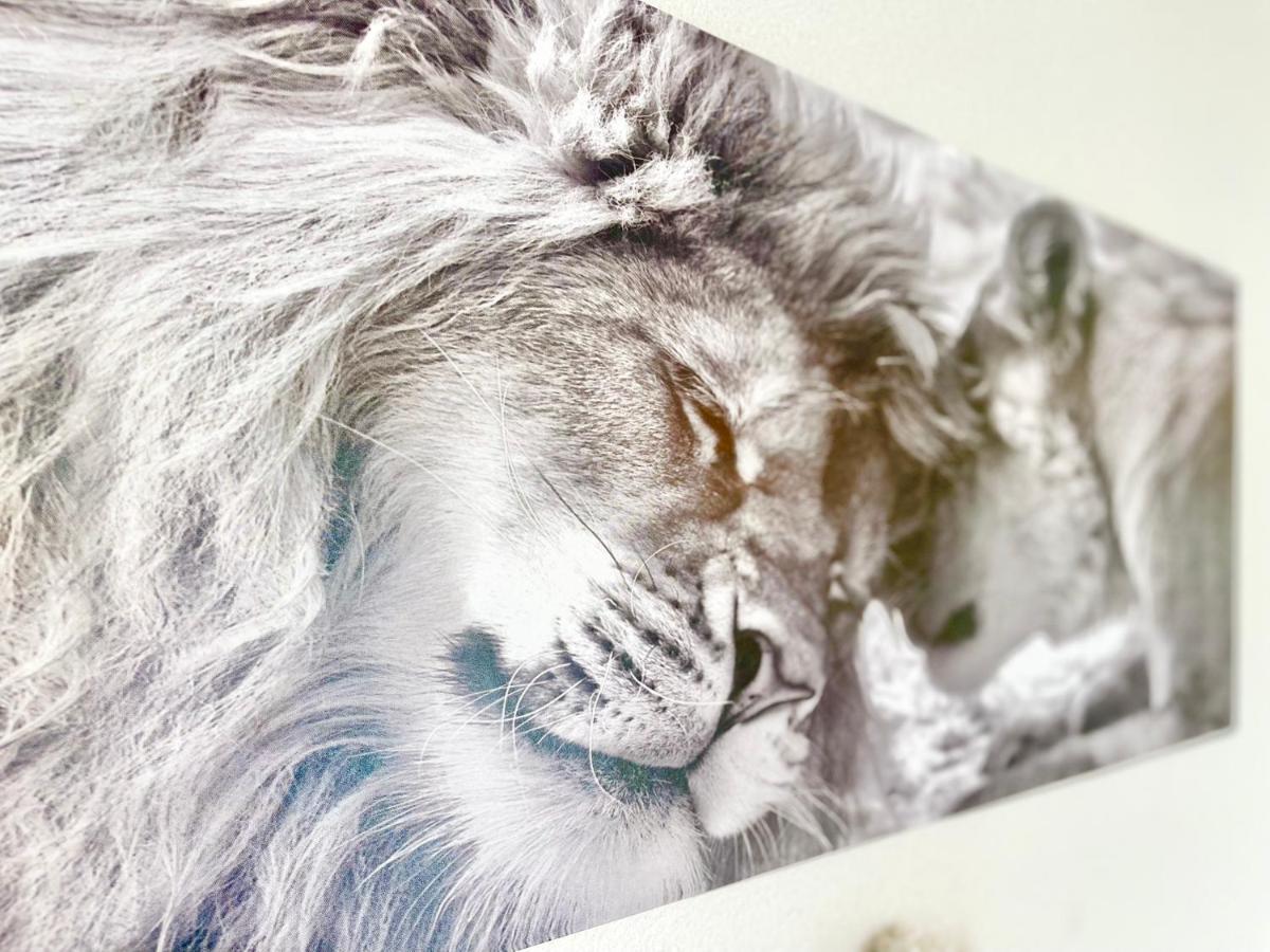 Nazaire - White Lion - Centre - Au Calme - Parking Privatif Aerien - Internet Debit Fibre
